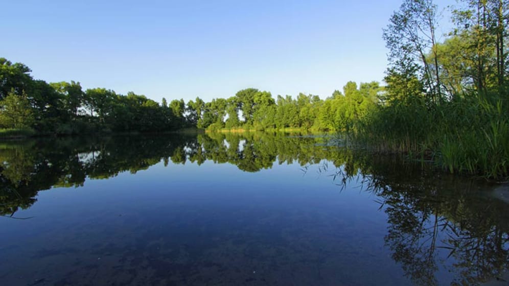 Der Bruchsee der Alten Oder verspricht Idylle pur.