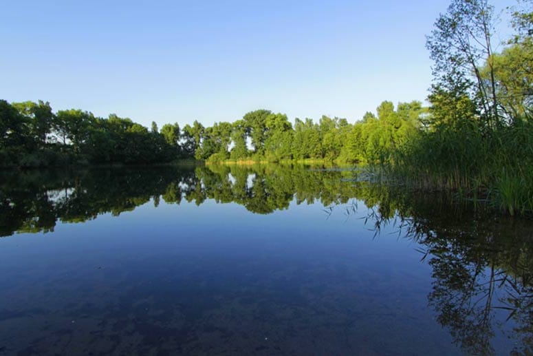 Der Bruchsee der Alten Oder verspricht Idylle pur.