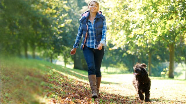 Für Hunde gibt es nichts schöneres als einen angenehmen Spaziergang