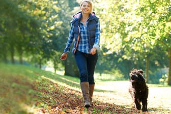 Für Hunde gibt es nichts schöneres als einen angenehmen Spaziergang
