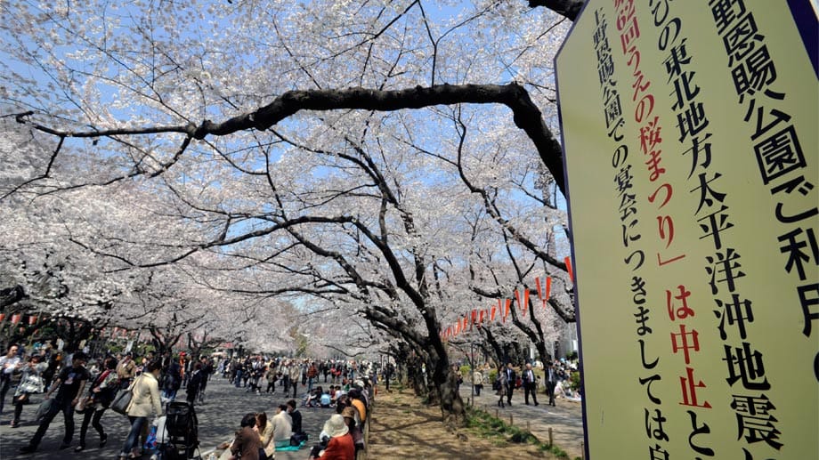 Der Ueno-Park ist Tokios grüne Lunge, ein bei Einheimischen und Touristen gleichermaßen beliebtes Ausflugs- und Erholungsziel.