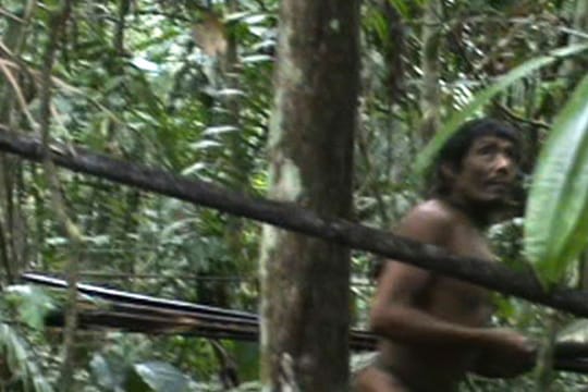 Sensationelles Video: Erste Aufnahmen von seltenem Amazonas-Stamm