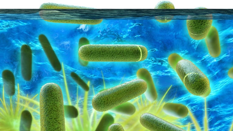 Legionellen-Bakterien: Sie können sich auch durch die Klimaanlage verbreiten.