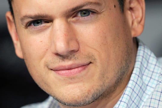 Wentworth Miller ist über schwulenfeindliches Gesetz empört.