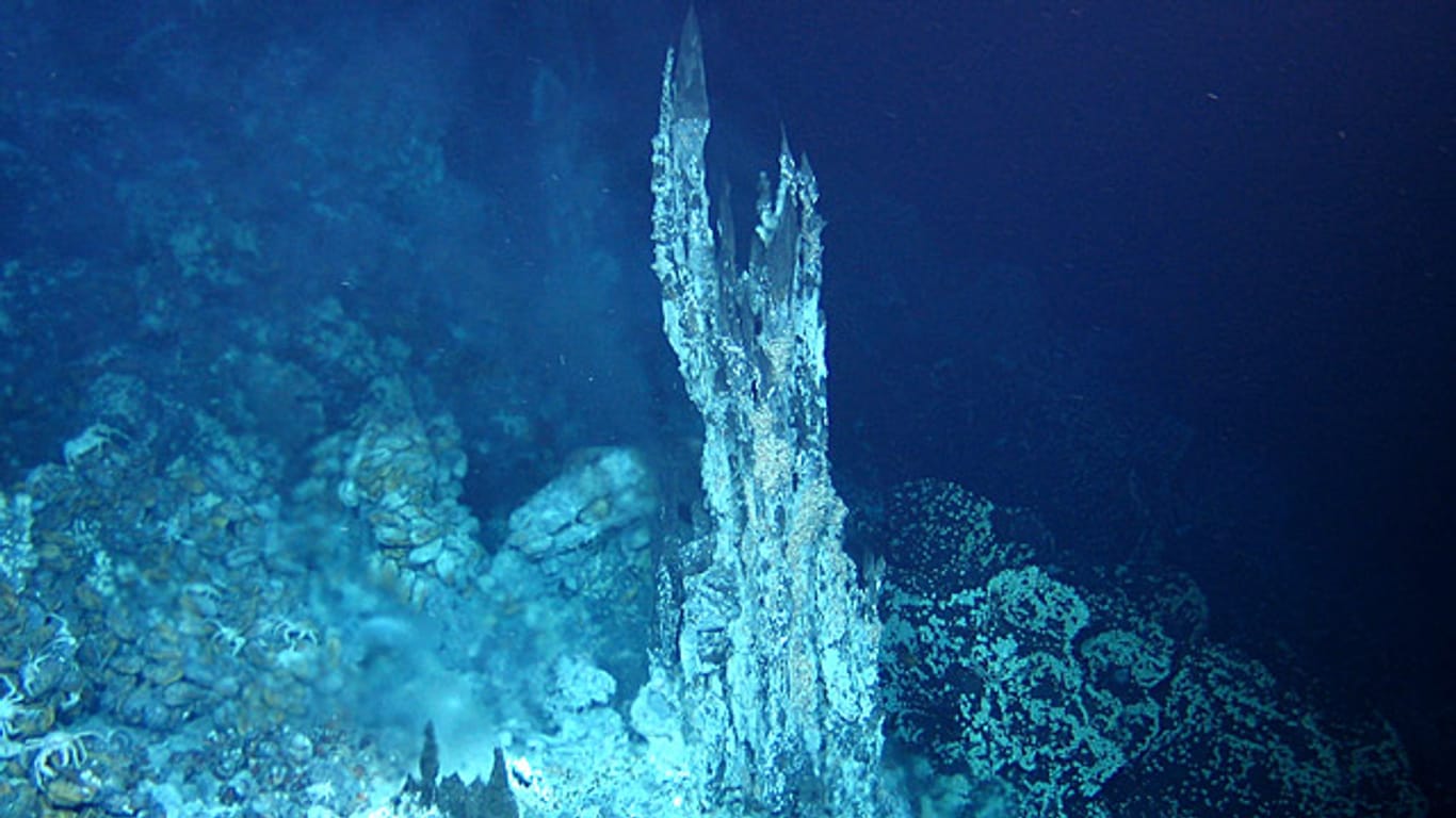 Als Schwarze Raucher werden hydrothermale Quellen am Grund der Tiefsee bezeichnet. Ein Roboter machte das Bild von der heißesten Quelle, die jemals im Pazifik gemessen wurde.