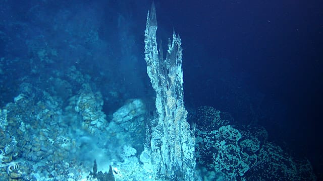 Als Schwarze Raucher werden hydrothermale Quellen am Grund der Tiefsee bezeichnet. Ein Roboter machte das Bild von der heißesten Quelle, die jemals im Pazifik gemessen wurde. Als Schwarze Raucher werden hydrothermale Quellen am Grund der Tiefsee bezeichnet. Ein Roboter machte das Bild von der heißesten Quelle, die jemals im Pazifik gemessen wurde.