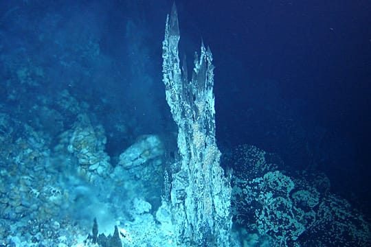 Als Schwarze Raucher werden hydrothermale Quellen am Grund der Tiefsee bezeichnet. Ein Roboter machte das Bild von der heißesten Quelle, die jemals im Pazifik gemessen wurde.