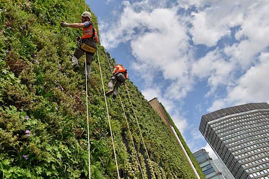 Diesen Garten kann man allenfalls mit absichernden Seilen begehen.