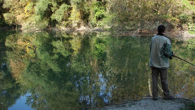 Angler im Auwald, Szigetköz, Ungarn.