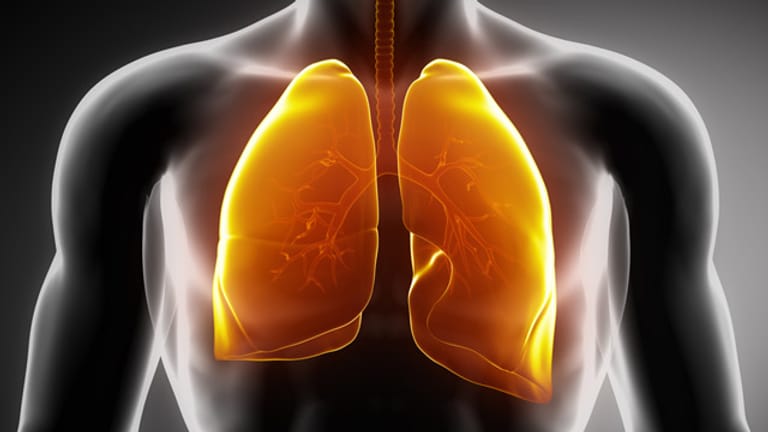 Lungenkrankheiten: Jeder zehnte Todesfall geht auf Lungenkrankheiten zurück.