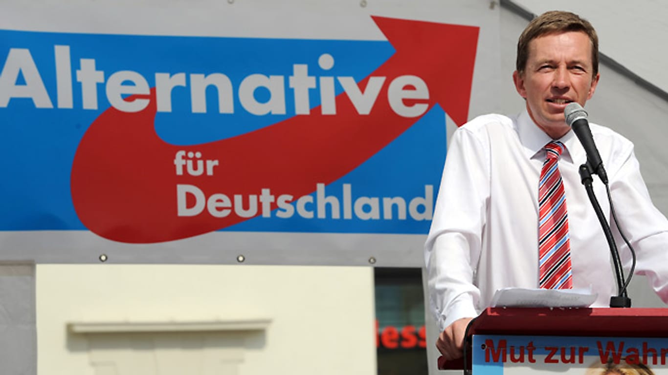 Bernd Lucke, Parteichef der Alternative für Deutschland