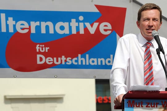 Bernd Lucke, Parteichef der Alternative für Deutschland