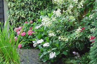 In kleinen Gärten kommt es besonders auf Wahl der Pflanzen an.