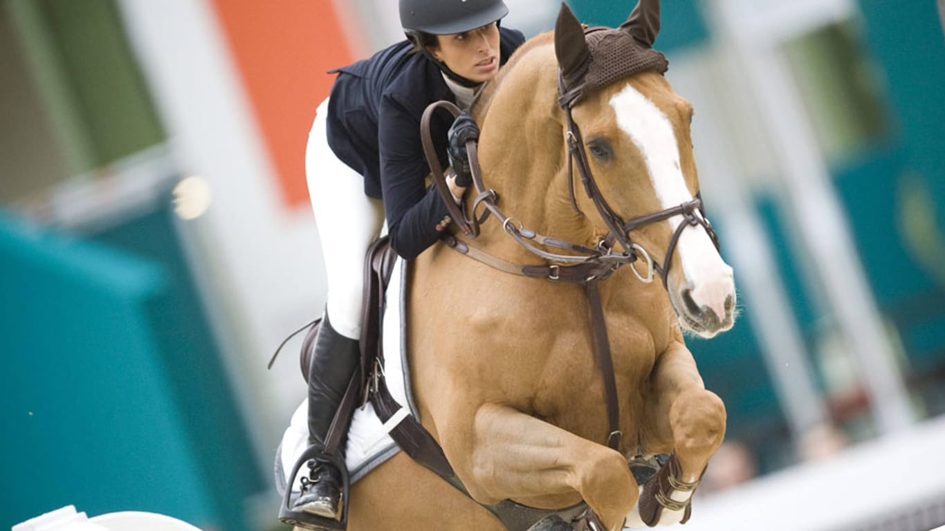 Das Sprungpferd Palloubet d´Halong löst das Dressurpferd Totilas als teuerstes Pferd in einer olympischen Disziplin ab.