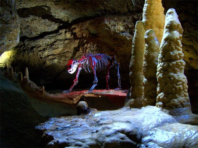 Vor rund 30000 Jahren suchten Höhlenbären in der Teufelshöhle bei Pottenstein Schutz. Heute trifft man in der Tropfsteinhöhle mitten im Naturpark "Fränkische Schweiz - Veldensteiner Forst" vor allem Fledermäuse und Besucher. Mit etwa 3000 Meter Länge gehört die Höhle zu den größten Tropfsteinhöhlen Deutschlands, gut die Hälfte wurde für Führungen begehbar gemacht.