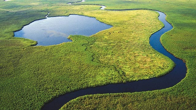 Der Okavango ist 1700 Kilometer lang. Ein großer Teil windet sich auch durch das Landesinnere von Botswana.