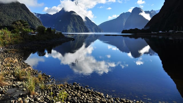 Solche Anblicke wie hier auf Milford Sound erwarten Sie in Neuseeland