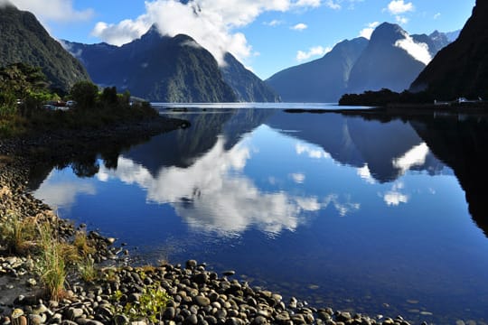 Solche Anblicke wie hier auf Milford Sound erwarten Sie in Neuseeland