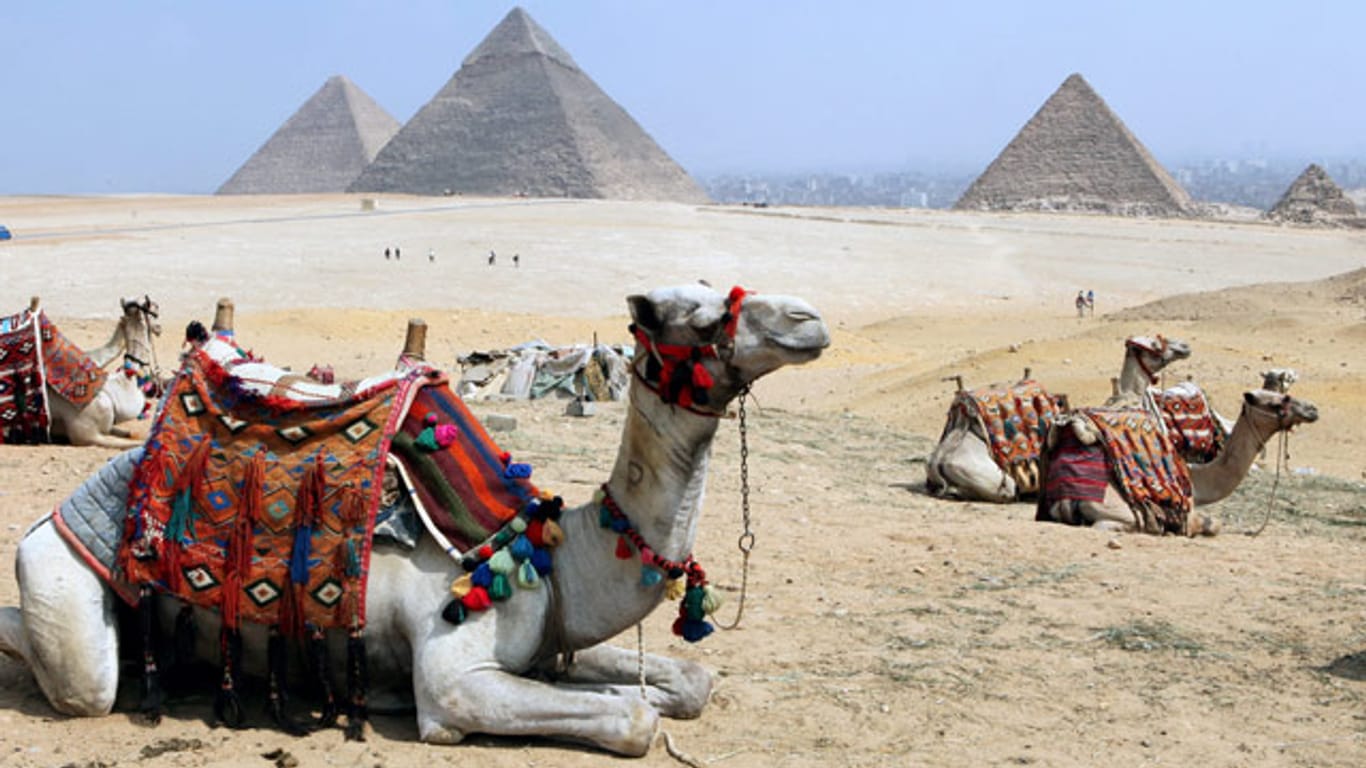 Kamele vor den Pyramiden von Gizeh, Ägypten.