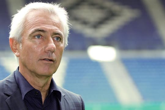 Will mit dem Hamburger SV wieder nach oben: Bert van Marwijk.