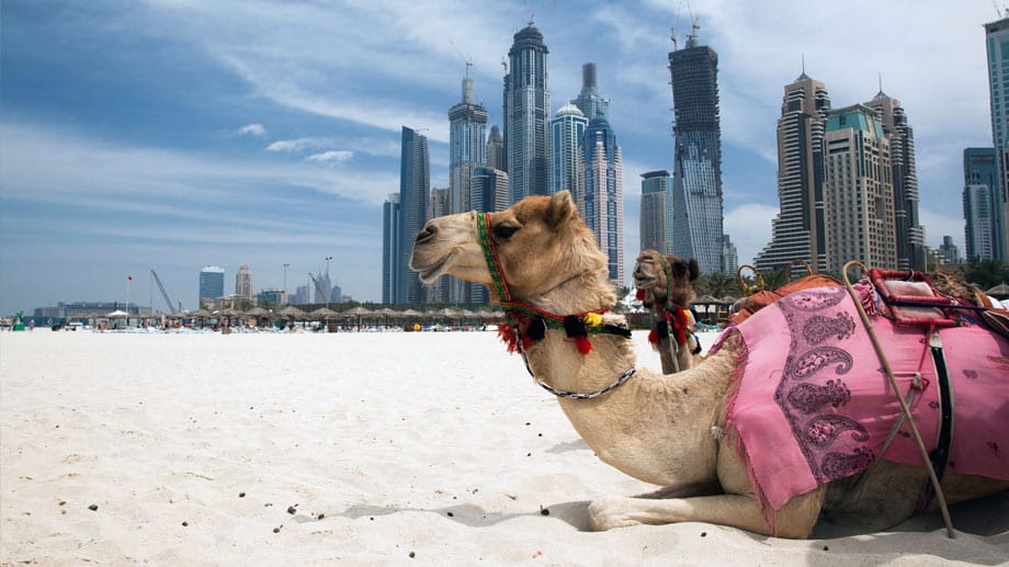 Luxus zum kleinen Preis finden Reisende in Dubai.