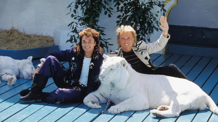 Roy und Siegfrieds Leidenschaft galt schon immer den exotischen weißen Tigern. Diese Aufnahme entstand 1991 im Freizeitpark "Phantasialand" in Brühl bei Köln.