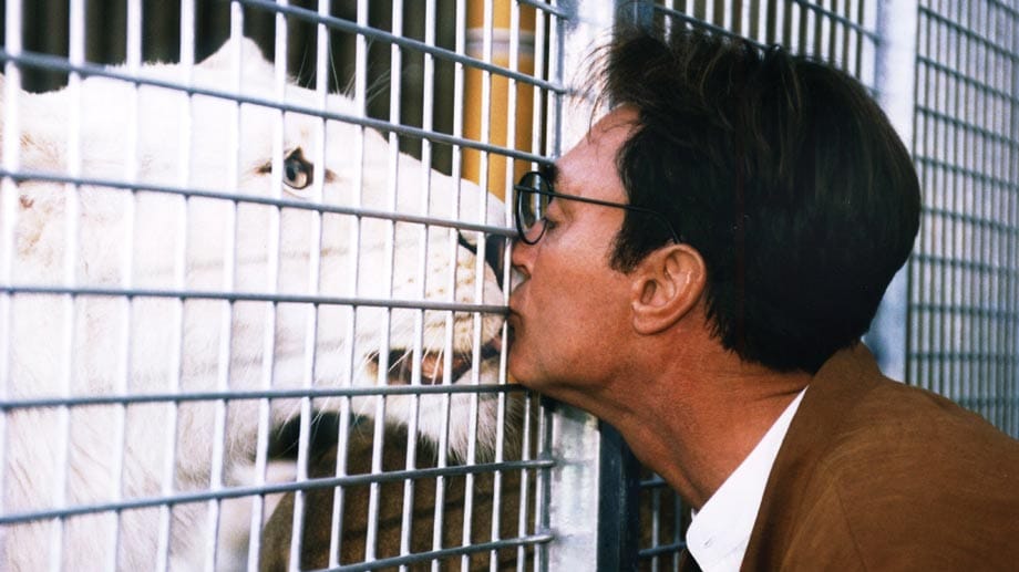 Seine Liebe zu den Tieren stand für Roy Horn im Mittelpunkt seines Lebens. Auf diesem Foto küsst er sein "Patenkind", eine weiße Löwin im Safaripark im nordrhein-westfälischen Holte-Stukenbrock.