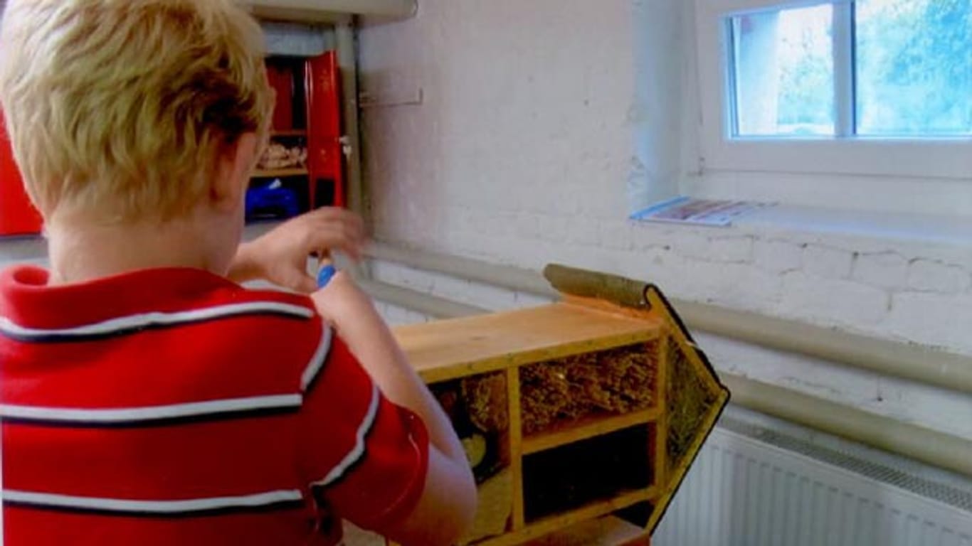Obdachlose Familie: Paul (9) baut ein Insektenhotel in der Holzwerkstatt des AWO Familienhauses Potsdam.