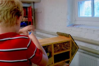 Obdachlose Familie: Paul (9) baut ein Insektenhotel in der Holzwerkstatt des AWO Familienhauses Potsdam.
