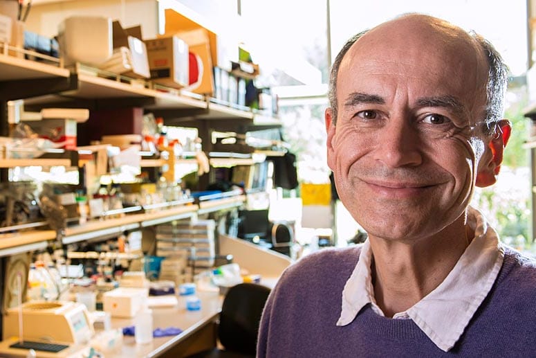 Thomas Südhof, Medizin-Nobelpreisträger