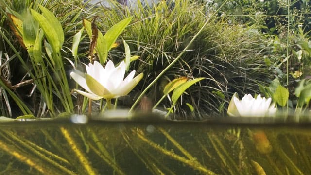 Anhand des Wasserstandes lassen sich Löcher leicht erkennen