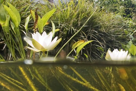 Anhand des Wasserstandes lassen sich Löcher leicht erkennen