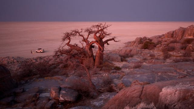 Einsam: Fotograf Michael Martin erlebt den Zauber der Kalahari