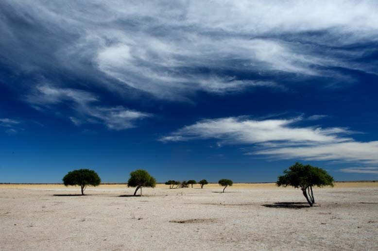 Die Kalahari offenbart ihre scheinbar unendliche Weite.