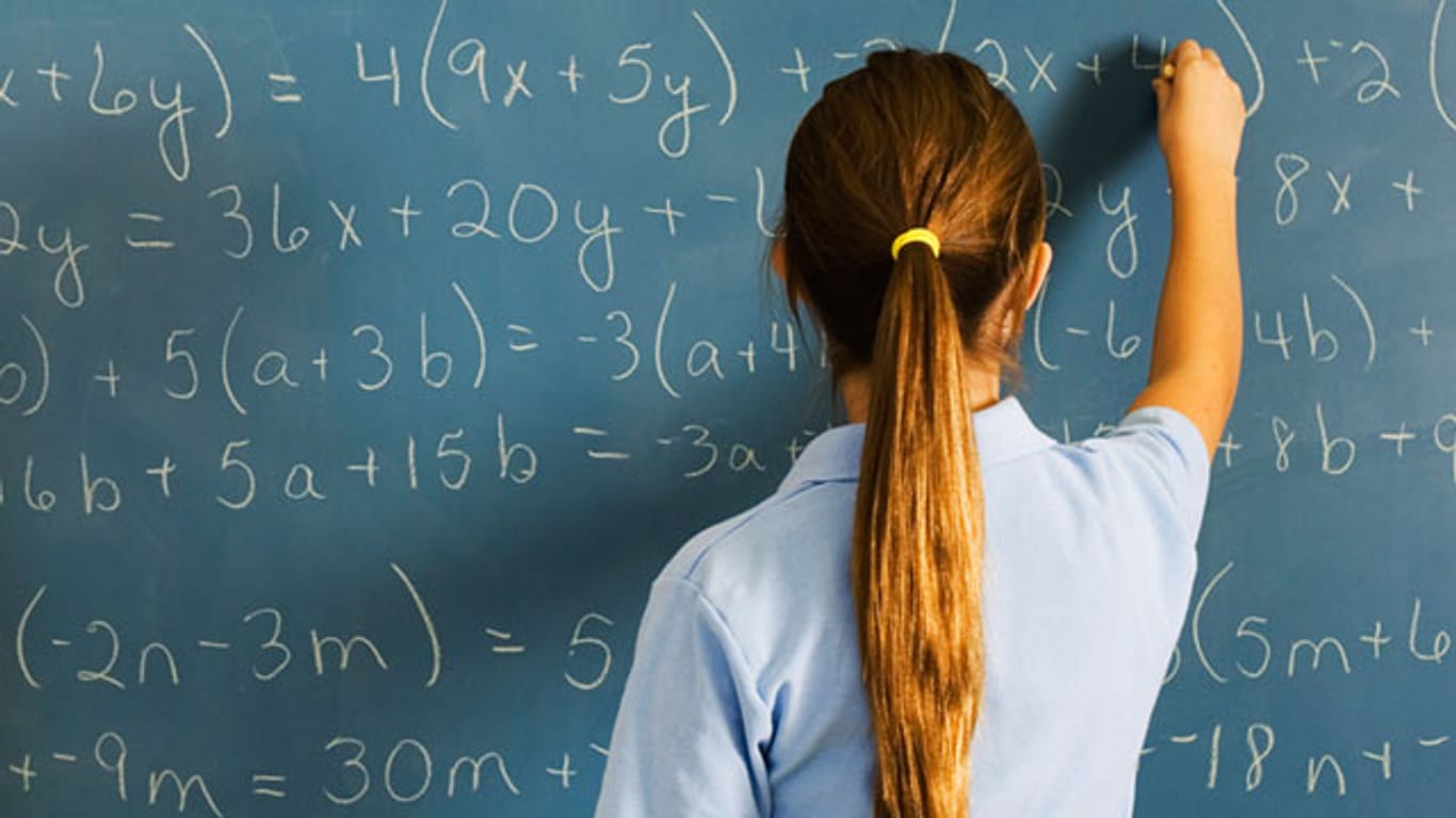 Im Leistungsvergleich der Bundesländer wurden Schüler aller Schulformen in Mathe und Naturwissenschaften geprüft.