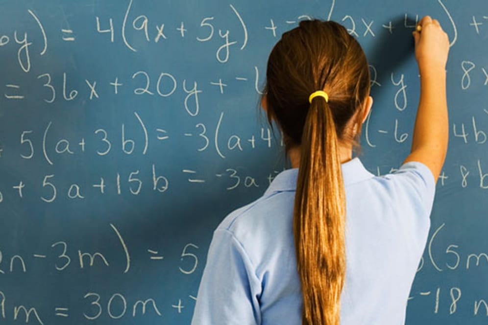Im Leistungsvergleich der Bundesländer wurden Schüler aller Schulformen in Mathe und Naturwissenschaften geprüft.