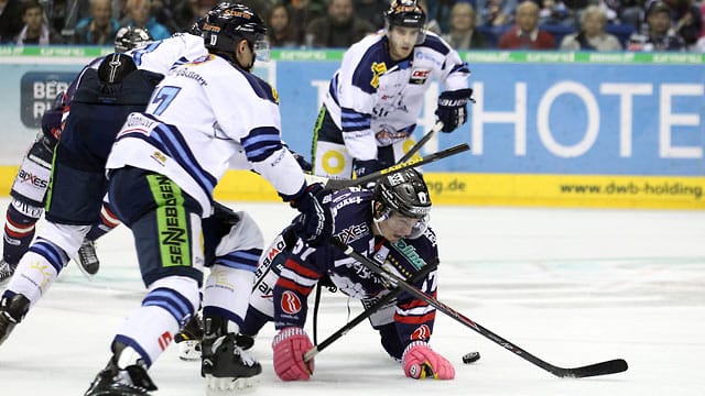 Meister Eisbären am Boden, hier Daniel Weiß im Spiel gegen Straubing.