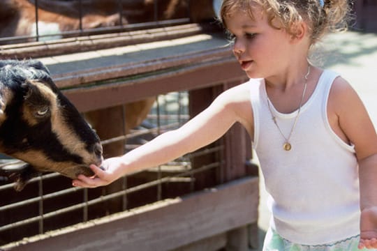 Kuscheln, streicheln, schnurren, glucken, knurren: unsere Erziehungsstile zeigen Parallelen zur Tierwelt.