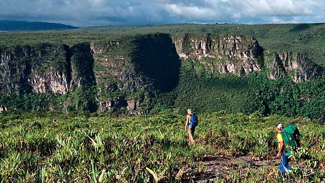 Trekking im Regenwald von Brasilien.