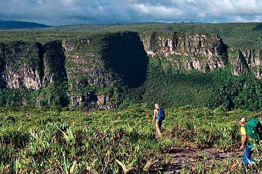 Trekking im Regenwald von Brasilien.