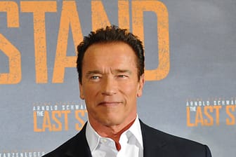 Hält sich Arnold Schwarzenegger einen kleinen Harem?