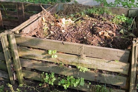 Der Lattenkompost überzeugt mit ständigem Lust- und Wasserwechsel