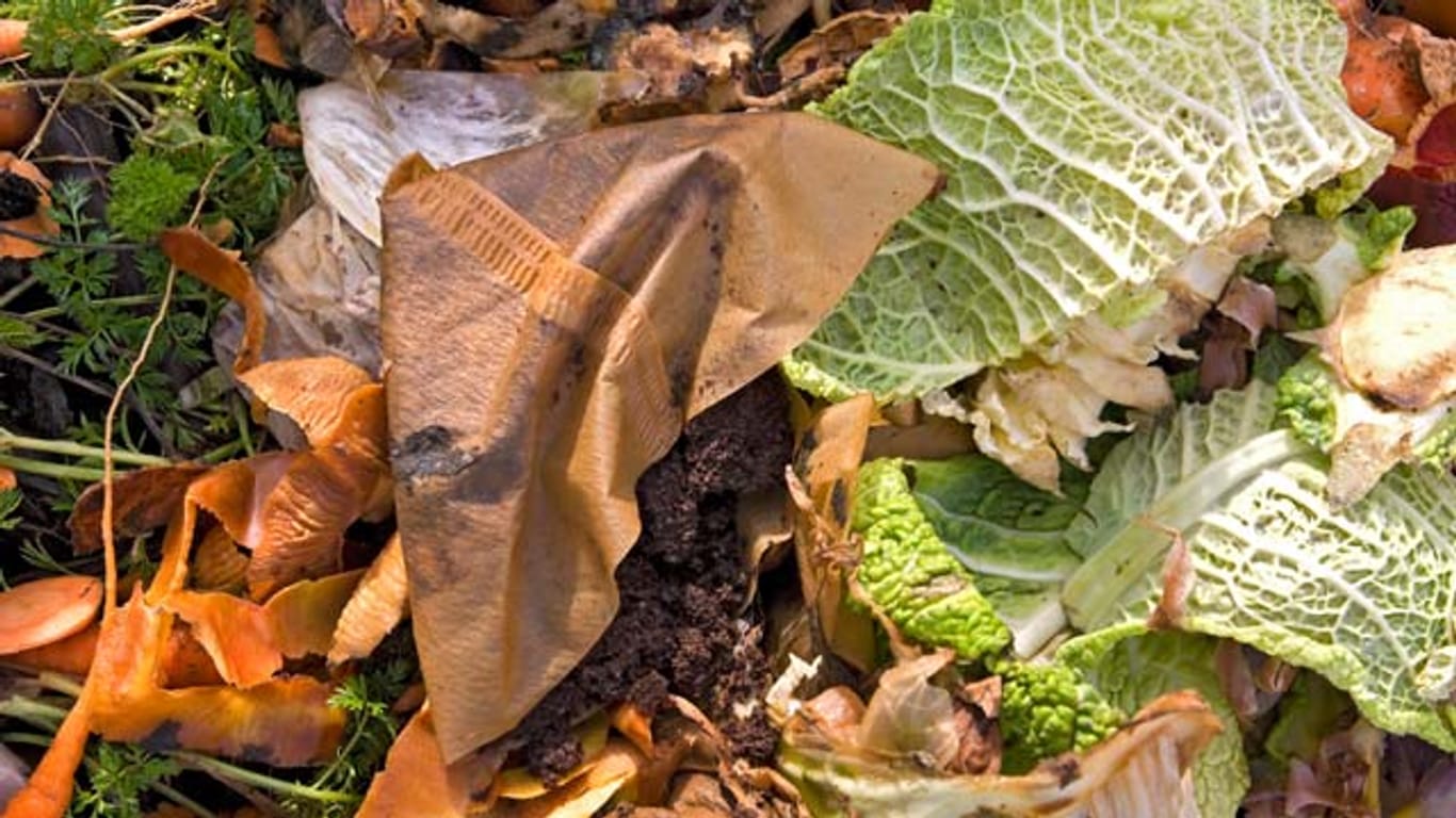 Gemüse und Kaffeesatz kann bedenkenlos in den Kompost