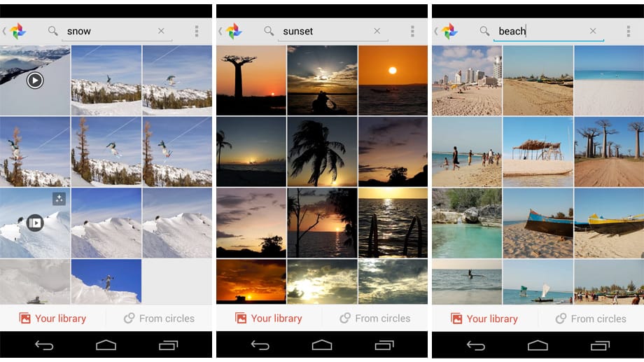 Die Bildersuche von Google+ kann bis zu 1000 Objekte identifizieren.