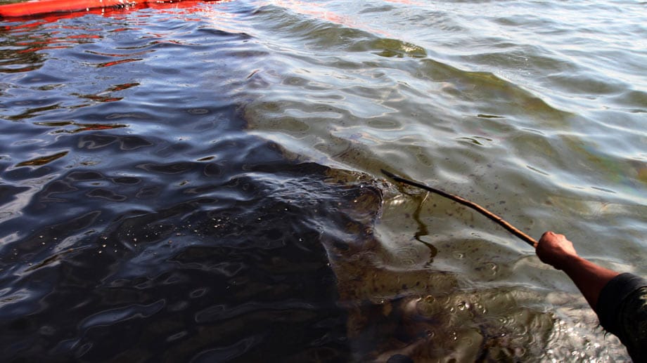 Trübe Aussichten: Das Niger-Delta in Nigeria, jahrelang Produktionsstätte von Mineralöl-Konzernen, ist durch Roh-Öle schwer belastet. Zwischen 1976 und 2001 wurden fast 7000 Zwischenfälle offiziell gemeldet. So wurden Millionen Barrel Öl in den Fluss geschüttet. Grundwasser und Erdboden sind dadurch total verschmutzt und haben auch das Meer in Mitleidenschaft gezogen. Trübe Aussichten: Das Niger-Delta in Nigeria, jahrelang Produktionsstätte von Mineralöl-Konzernen, ist durch Roh-Öle schwer belastet. Zwischen 1976 und 2001 wurden fast 7000 Zwischenfälle offiziell gemeldet. So wurden Millionen Barrel Öl in den Fluss geschüttet. Grundwasser und Erdboden sind dadurch total verschmutzt und haben auch das Meer in Mitleidenschaft gezogen.