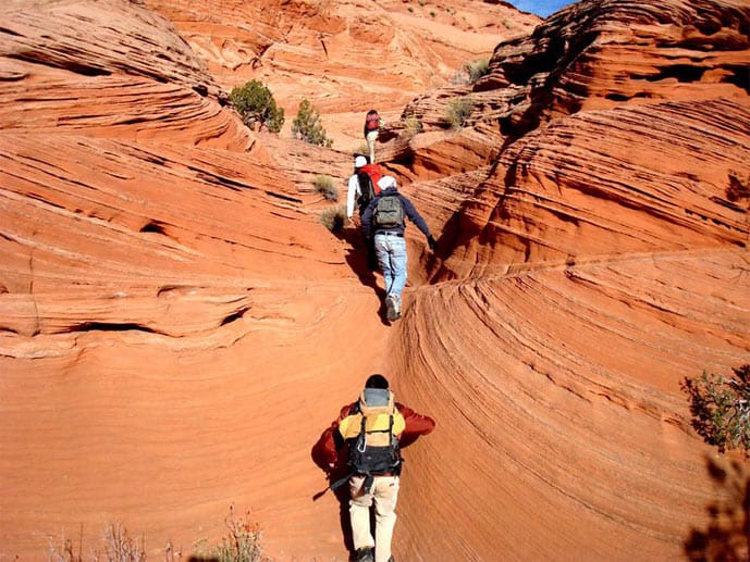 Schon die Anfahrt durch die eindrucksvolle Landschaft mit ihren roten Navajo-Sandsteinfelsen ist ein Erlebnis. Eine mehrstündige Wanderung führt an den vom Wasser glatt geschliffenen Felswänden der Klamm entlang wie durch eine Zauberwelt.