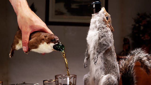 Biere mit bis zu 55 Prozent Alkohol finden sich bei der schottischen Brauerei Brewdog