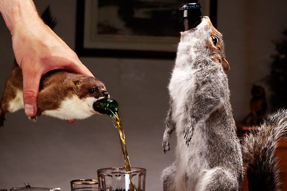 Biere mit bis zu 55 Prozent Alkohol finden sich bei der schottischen Brauerei Brewdog