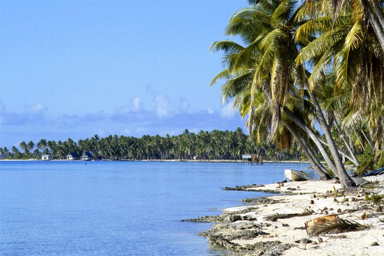 Taucher, die das Tuamotu-Atoll in Französisch-Polynesien besuchen, kommen voll auf ihre Kosten.