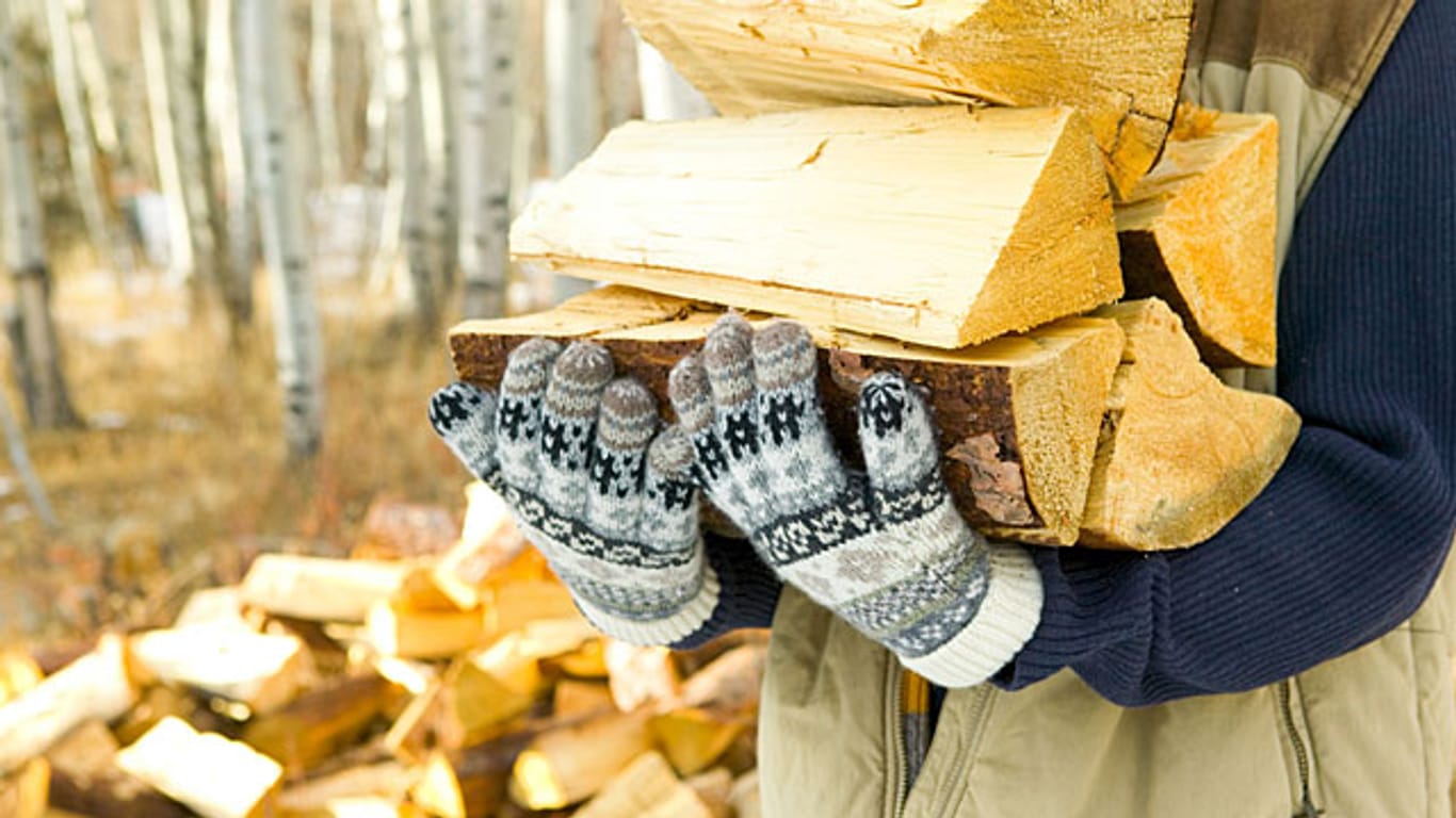 Wer sein Brennholz richtig lagert, kann effizient heizen